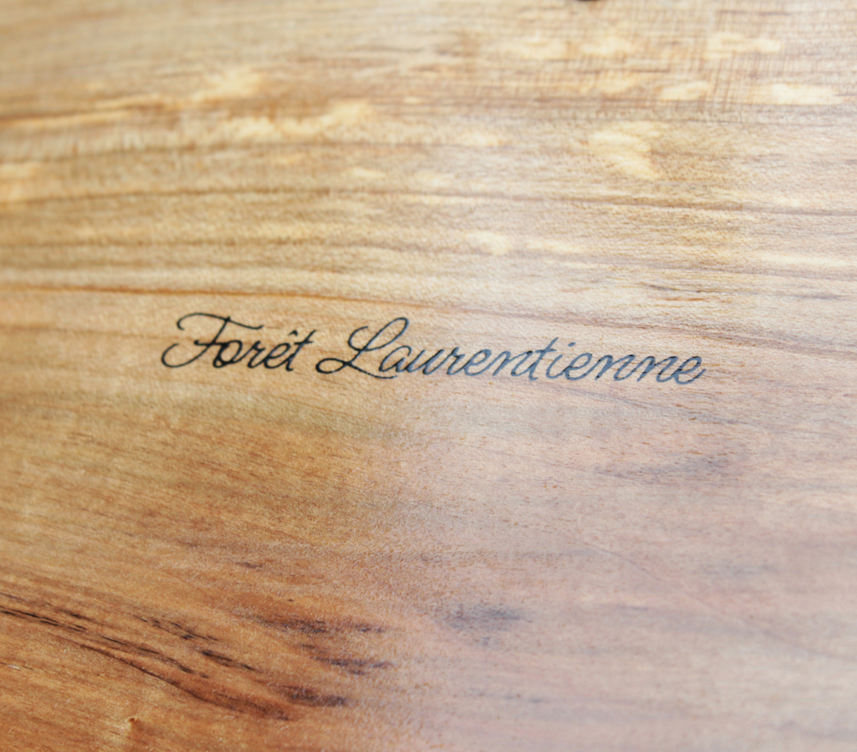 Forêt Laurentienne - Cendrier 001