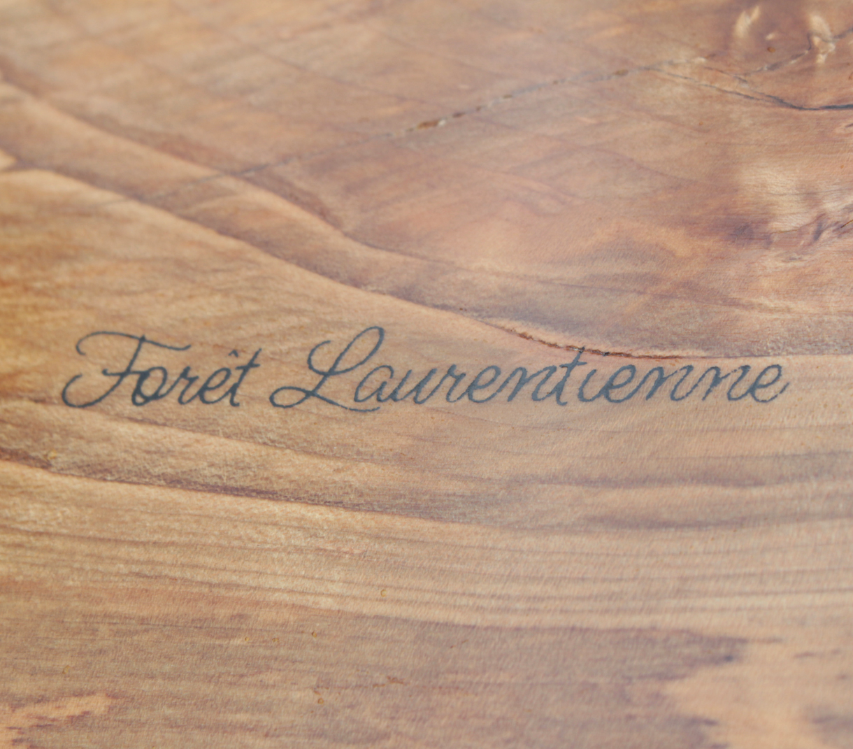 Forêt Laurentienne - Cendrier 003
