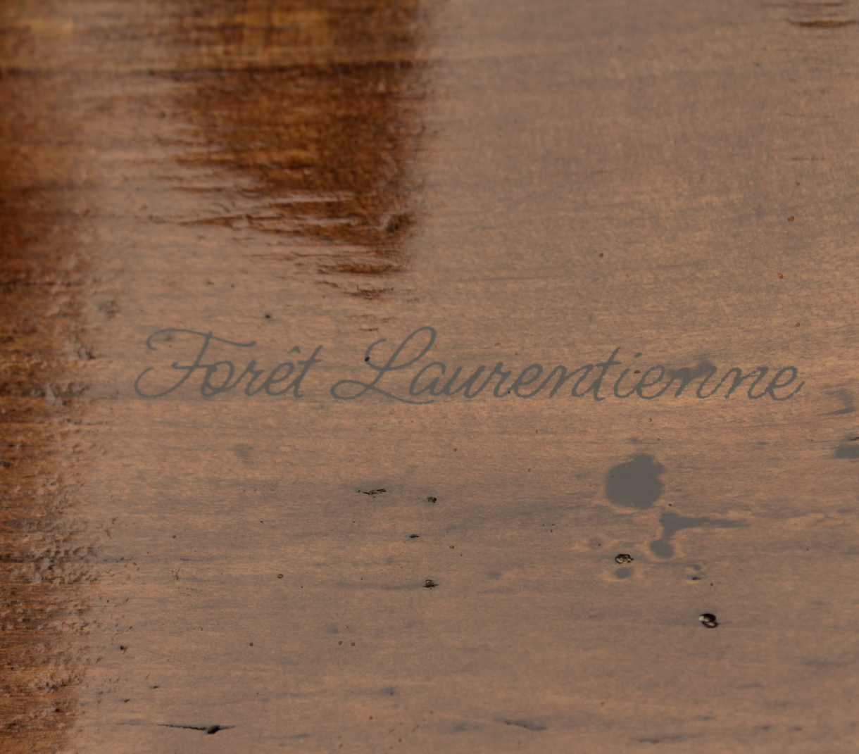 Forêt Laurentienne - Cendrier 004