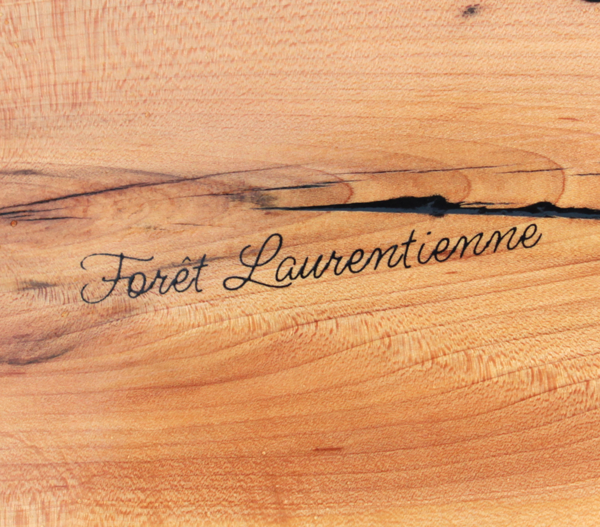Forêt Laurentienne - Cendrier 005